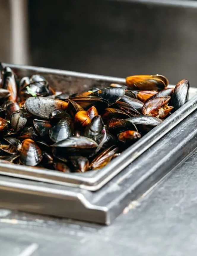 Des moules sélectionnées selon leur saison, en Europe